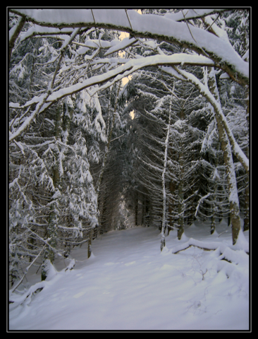 Le Haut-Jura sous la neige