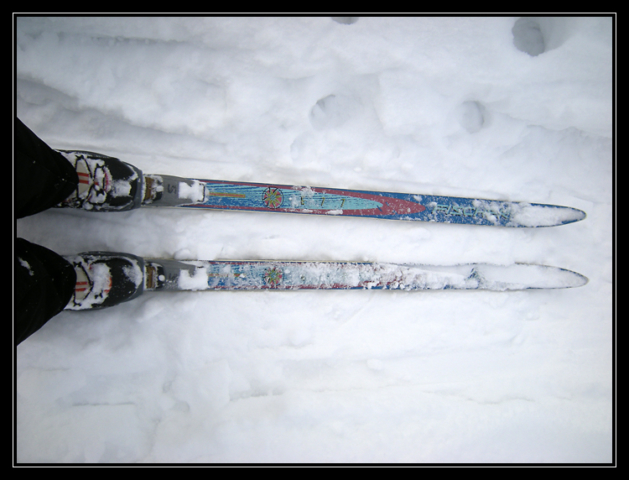 Ski de fond dans le Haut-Jura