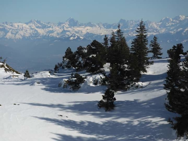 Vue sur les Alpes depuis le Haut-Jura